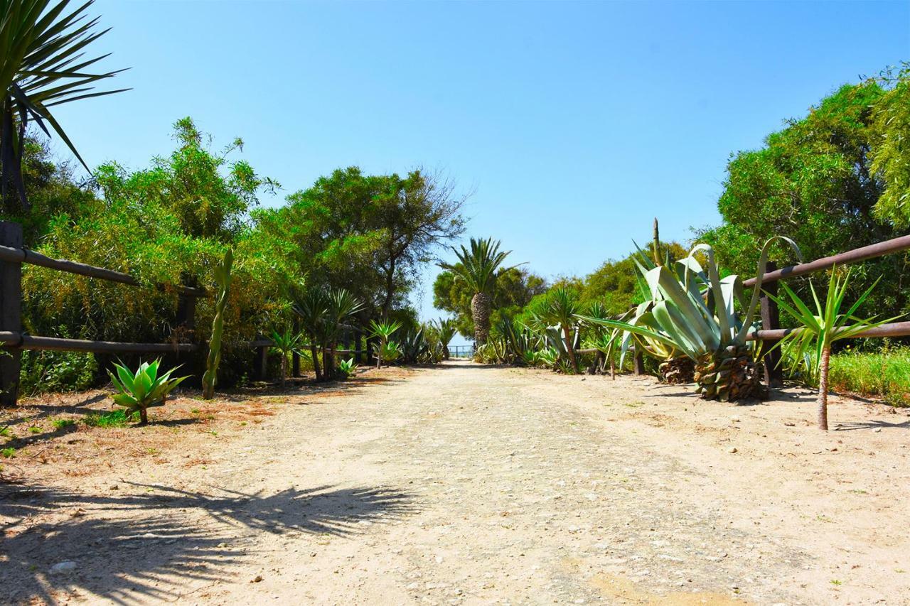 Casara Dos - 2 Dormitorios - Torre Con Acceso Privado A La Playa De Zahora Dış mekan fotoğraf